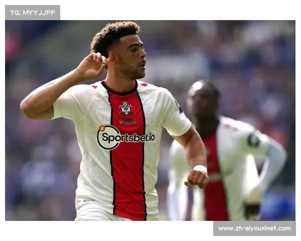 南安普顿后防漏洞，能否及时弥补？